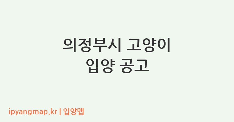 의정부시 고양이 입양 공고