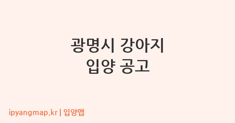 광명시 강아지 입양 공고