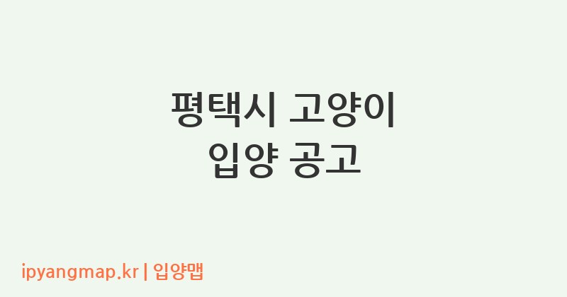 평택시 고양이 입양 공고