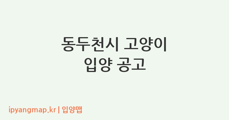 동두천시 고양이 입양 공고