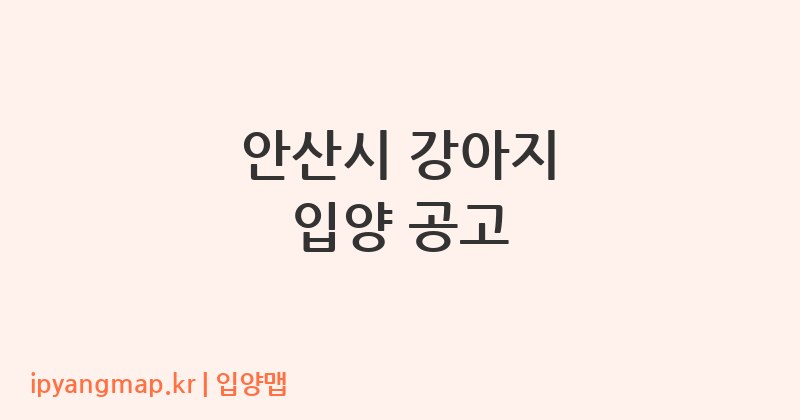 안산시 강아지 입양 공고