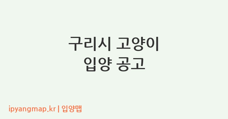 구리시 고양이 입양 공고