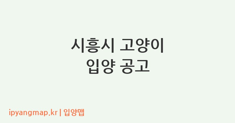 시흥시 고양이 입양 공고