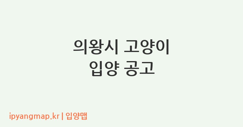 의왕시 고양이 입양 공고