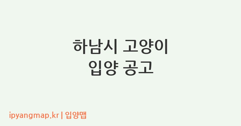 하남시 고양이 입양 공고