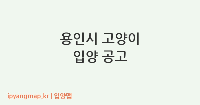 용인시 고양이 입양 공고