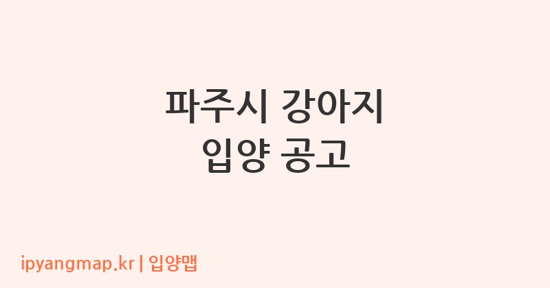 파주시 강아지 입양 공고