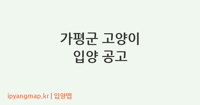 가평군 고양이 입양 공고
