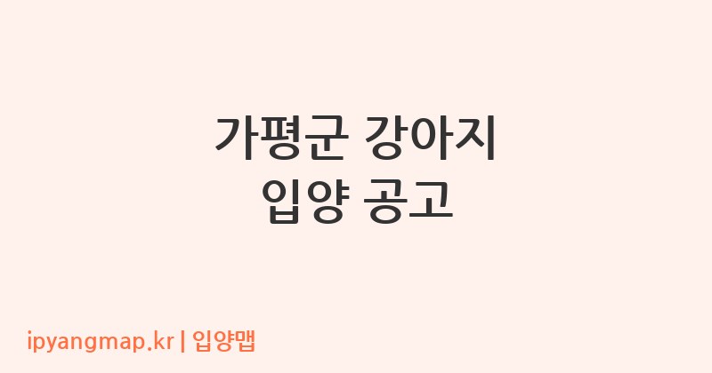 가평군 강아지 입양 공고