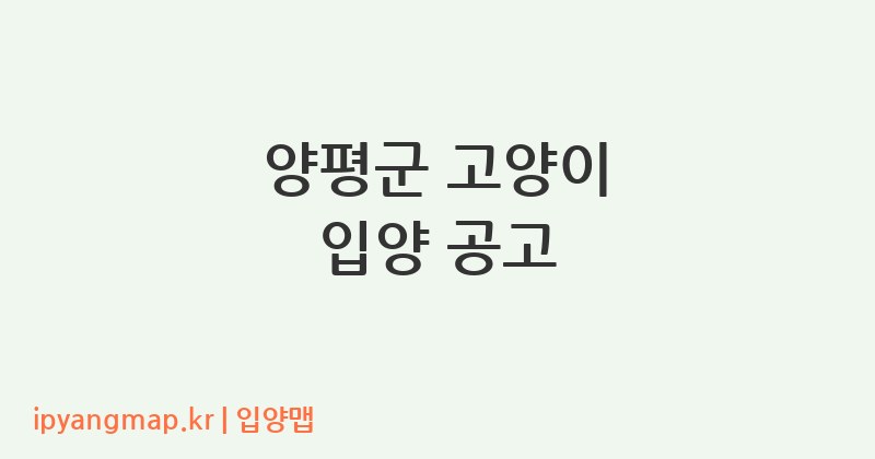 양평군 고양이 입양 공고