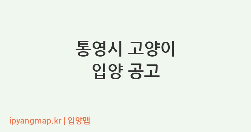 통영시 고양이 입양 공고