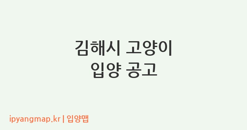 김해시 고양이 입양 공고