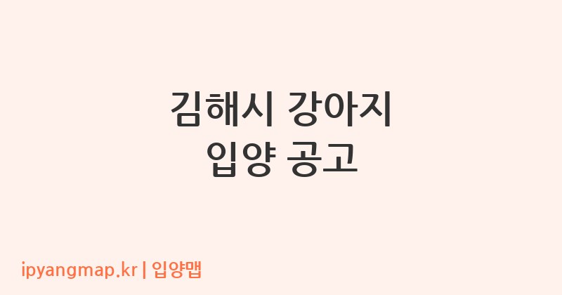 김해시 강아지 입양 공고