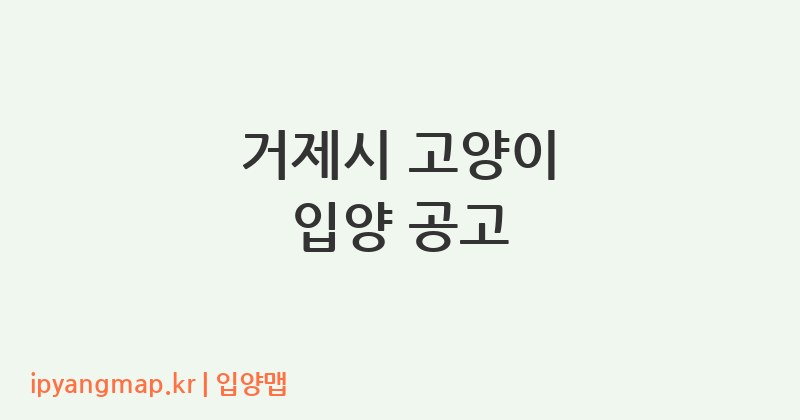 거제시 고양이 입양 공고