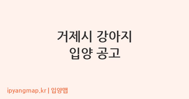 거제시 강아지 입양 공고
