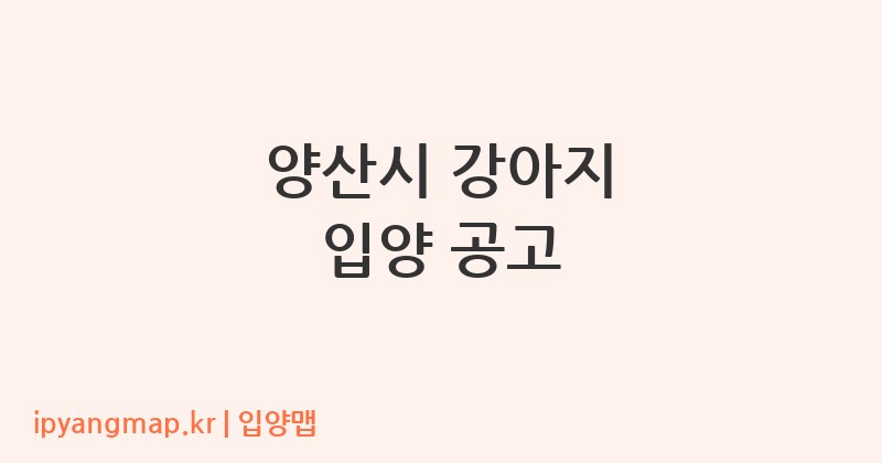 양산시 강아지 입양 공고