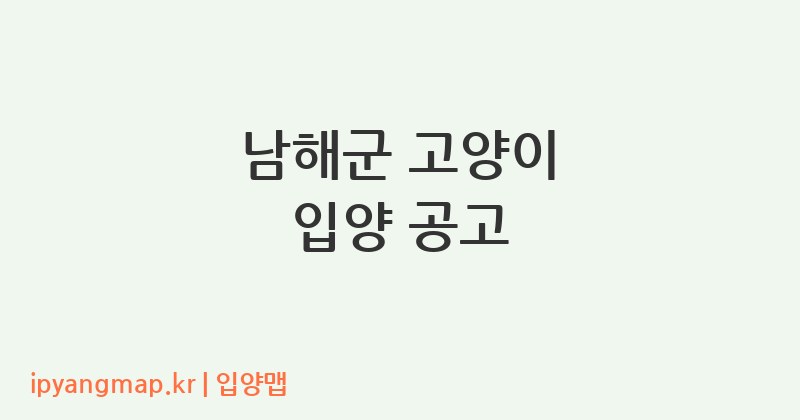 남해군 고양이 입양 공고
