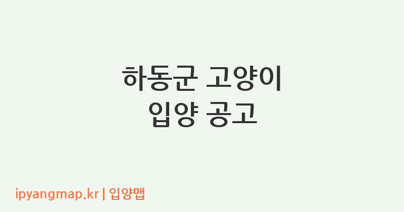하동군 고양이 입양 공고