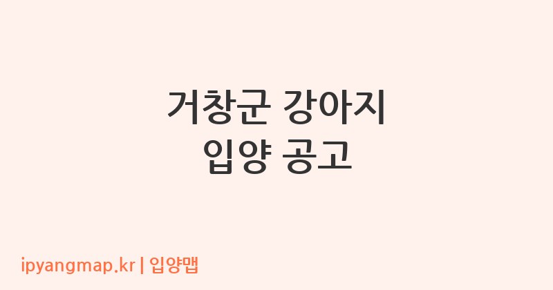 거창군 강아지 입양 공고