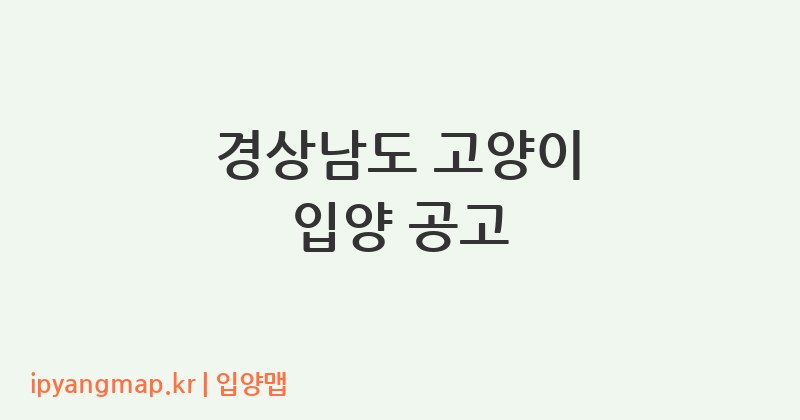 경상남도 고양이 입양 공고