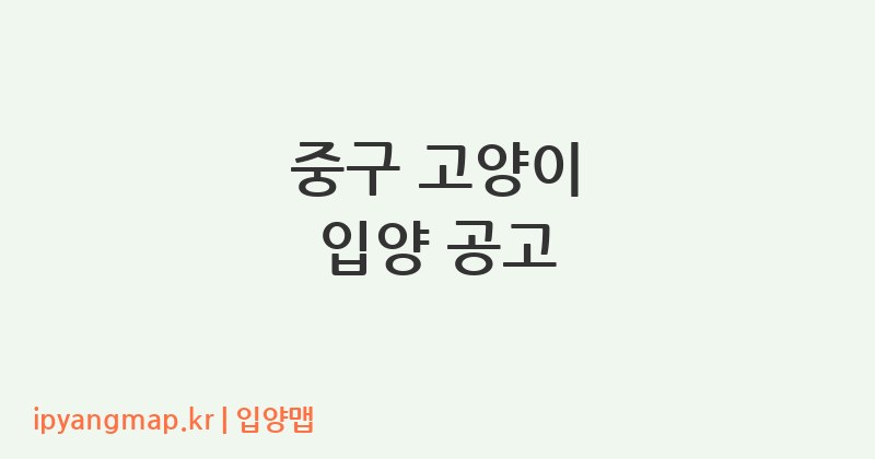 중구 고양이 입양 공고