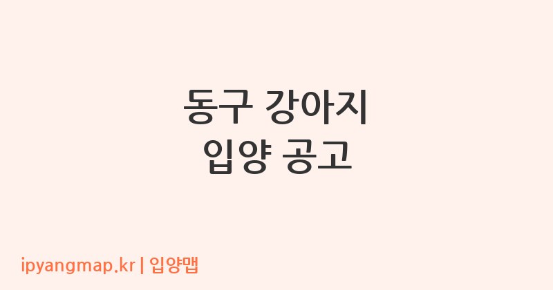 동구 강아지 입양 공고