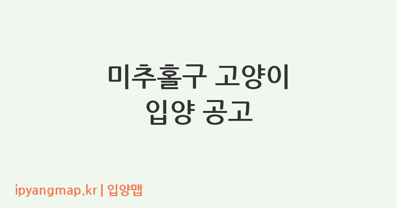 미추홀구 고양이 입양 공고
