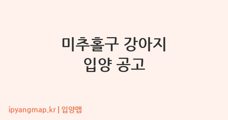 미추홀구 강아지 입양 공고