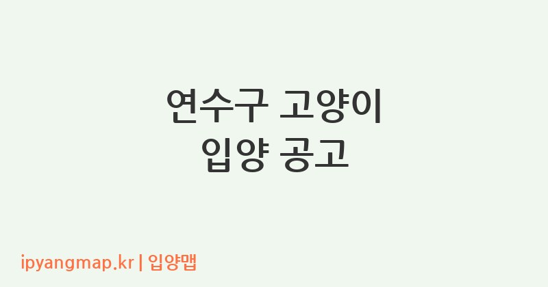 연수구 고양이 입양 공고