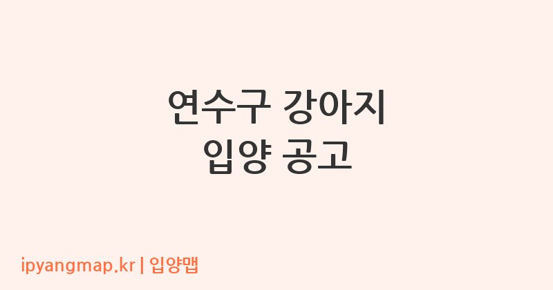 연수구 강아지 입양 공고