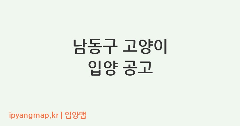 남동구 고양이 입양 공고