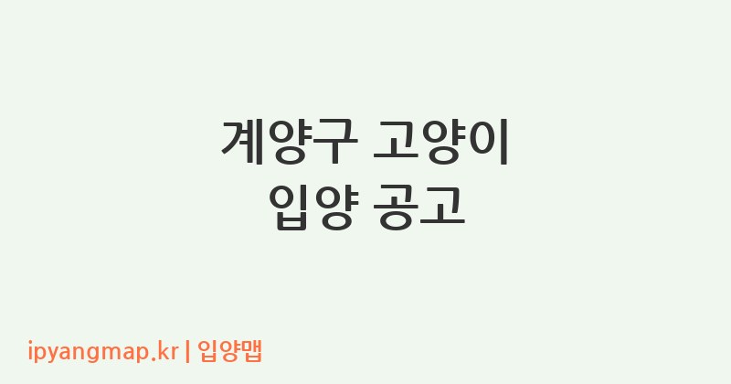 계양구 고양이 입양 공고