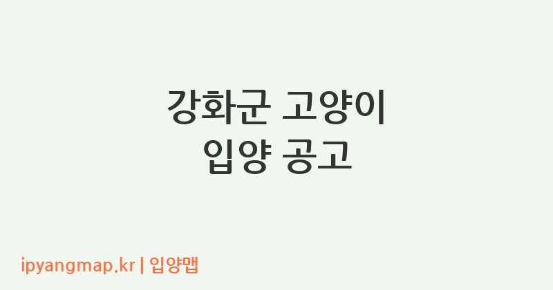 강화군 고양이 입양 공고