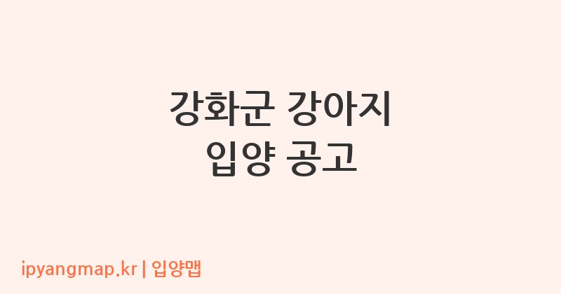 강화군 강아지 입양 공고