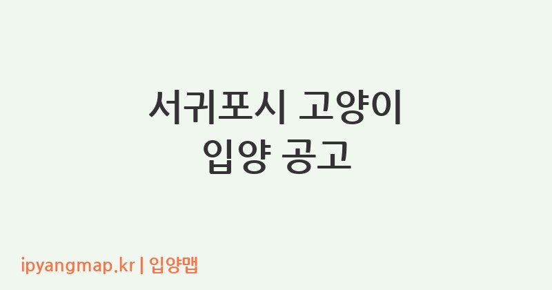 서귀포시 고양이 입양 공고