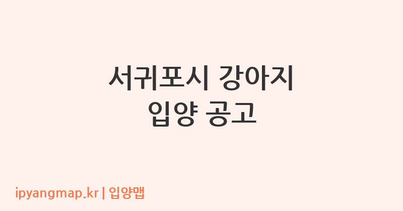 서귀포시 강아지 입양 공고