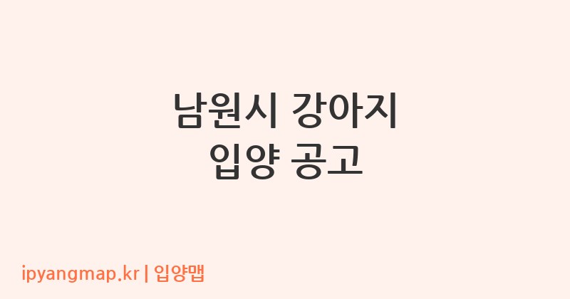 남원시 강아지 입양 공고