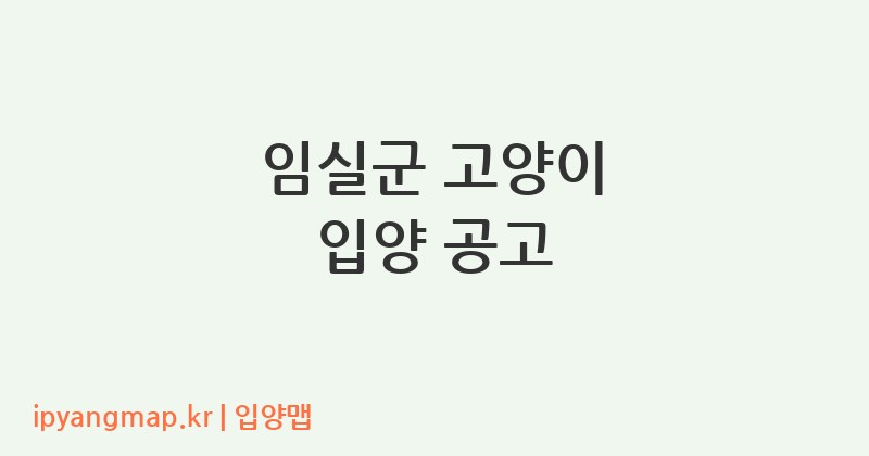 임실군 고양이 입양 공고