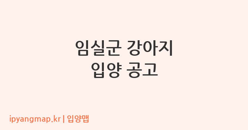 임실군 강아지 입양 공고