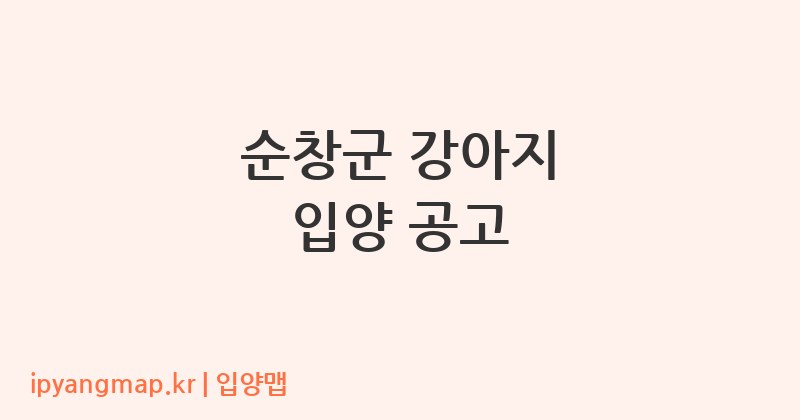 순창군 강아지 입양 공고