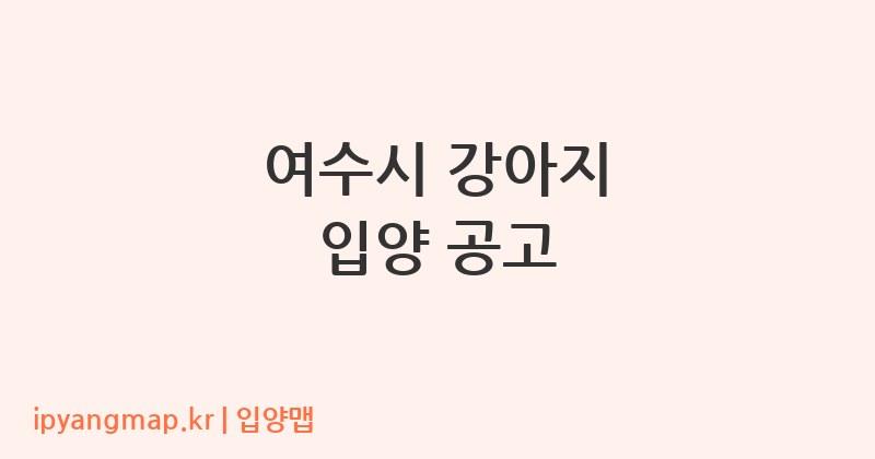 여수시 강아지 입양 공고