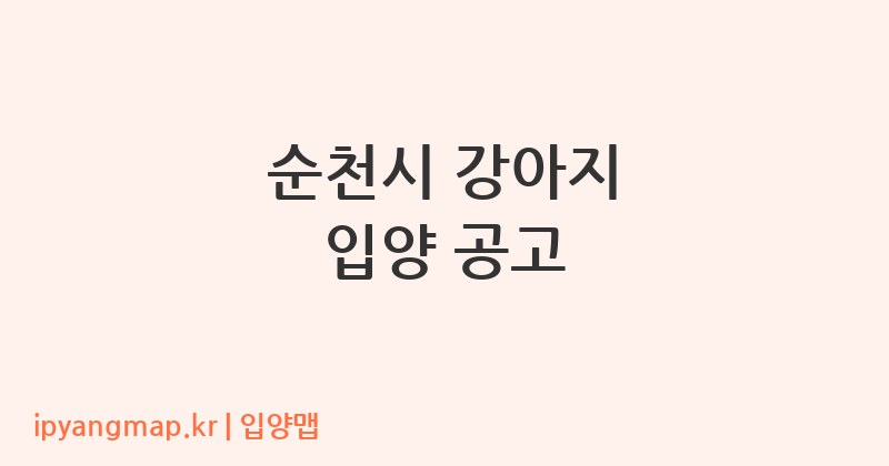 순천시 강아지 입양 공고