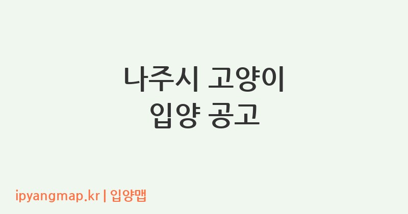 나주시 고양이 입양 공고