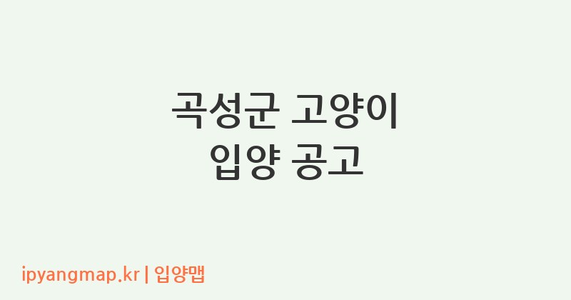 곡성군 고양이 입양 공고
