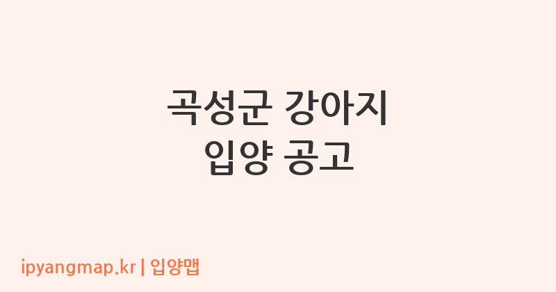 곡성군 강아지 입양 공고