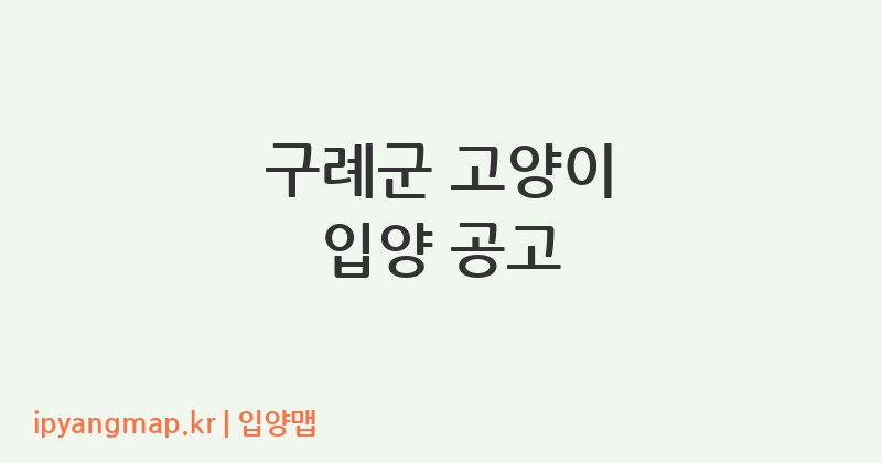 구례군 고양이 입양 공고