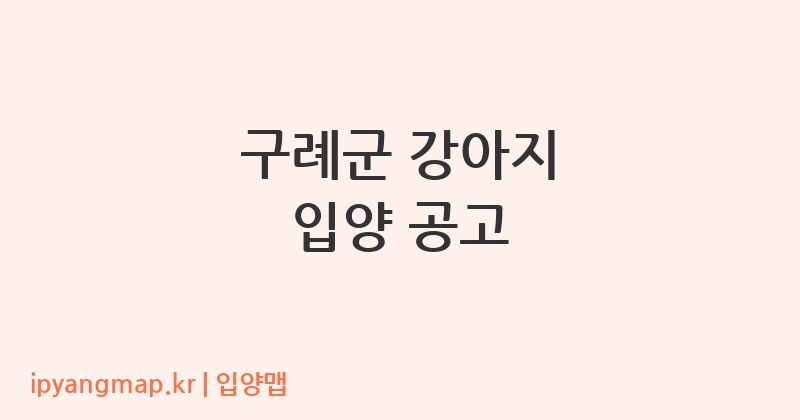 구례군 강아지 입양 공고