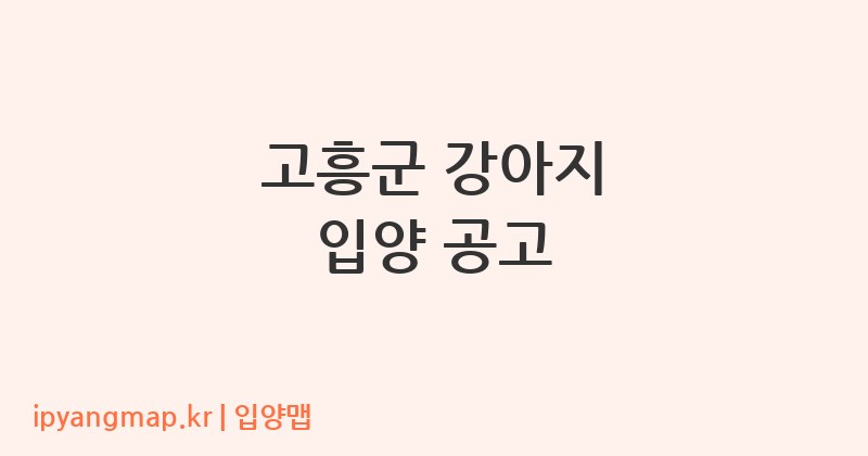 고흥군 강아지 입양 공고