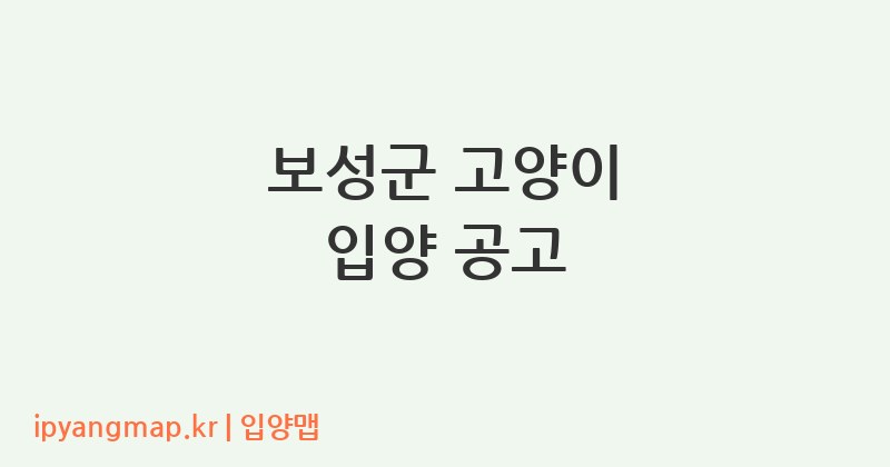 보성군 고양이 입양 공고