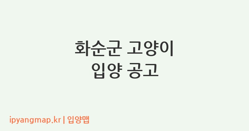 화순군 고양이 입양 공고